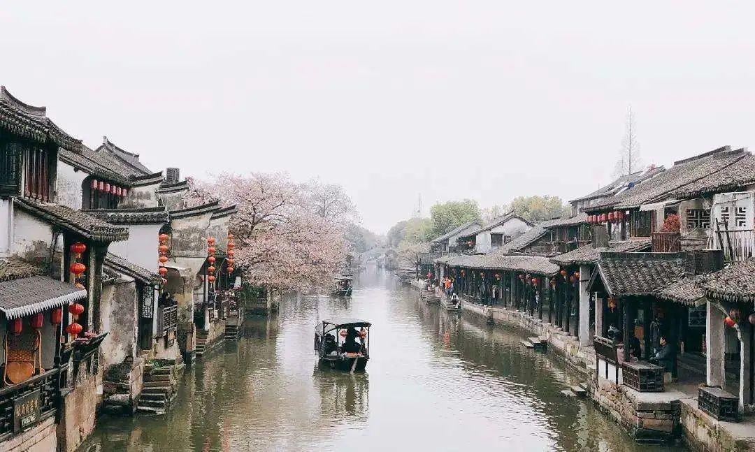 逃出蜜蜂岛